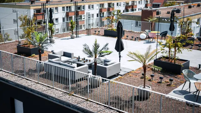 Rooftop-Terrasse der Eighty-Eight Apartments Nürnberg bei Tag mit Loungemöbeln und Palmen